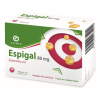 GALMED Espigal 80 mg 100 kapsúl