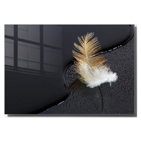 Sklenený obraz 100x70 cm Feather - Wallity