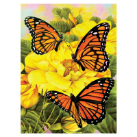 Creatoys Maľovanie 22 x 30 cm Motýliky