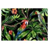 Dekoria Obraz na plátne Tropical Birds, 50 x 35 cm