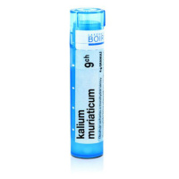 BOIRON Kalium muriaticum CH9 4 g