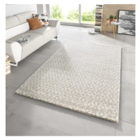 Kusový koberec Stella 102604 Rozmery koberca: 120x170