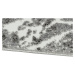 Kusový koberec Victoria 8002-644 - 160x230 cm B-line