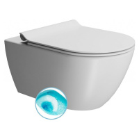 GSI - PURA závesná WC misa, Swirlflush, 36x55cm, biela dual-mat 881509