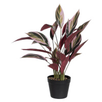 Umelá rastlina (výška  55 cm) Bird of Paradise – Ixia