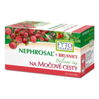 FYTO PHARMA Brusnice bylinný čaj na močové cesty 20 x 1.5 g