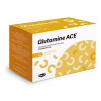 GLUTAMINE Ace pomarančová príchuť 30 x 15 g