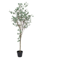 Umelý eukalyptus (výška  180 cm) Eucalyptus – Ixia