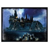 HM Studio 3D Puzzle Harry Potter Hogwarts 500 dielikov