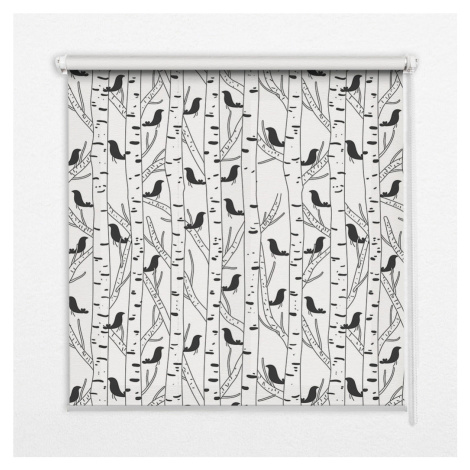 TULUP VNÚTORNÁ roleta - okenná roleta - roleta - 60x140 cm - Nakreslené vtáky a stromy
