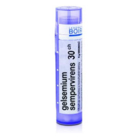 BOIRON Gelsemium Sempervirens CH30 4 g