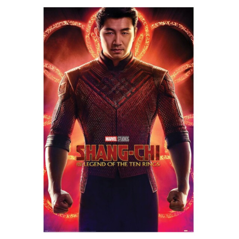 Plagát Shang-Chi a Legend of the Ten Rings - Flex (263)