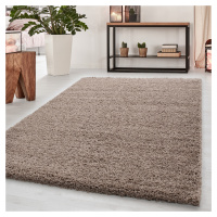 Kusový koberec Dream Shaggy 4000 beige - 65x130 cm Ayyildiz koberce