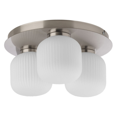 LIVARNO home Stropné LED svietidlo (stropné svietidlo, drážkované)
