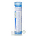 ARSENICUM IODATUM gra 1x4g (CH9)