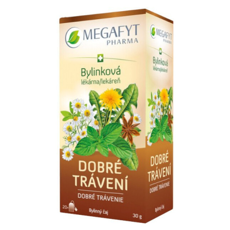 MEGAFYT Bylinková lekáreň Dobré trávenie 20 x 1.5 g