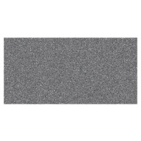 Dlažba Rako Taurus granit sivá 30x60 cm mat TAASA065.1