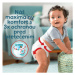 PAMPERS Premium care pants 3 144 ks