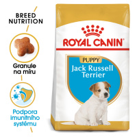 RC JACK RUSSELL JUNIOR - 500g