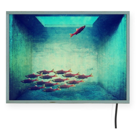 Svetelná nástenná dekorácia Surdic Free Fish, 40 x 30 cm