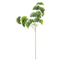 Dekoria Strom Ginkgo na vetve 90cm, 15 x 15 x 90 cm