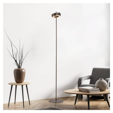 Paul Neuhaus Smart LED stojacia lampa Q-Rotate tmavohnedá 140 cm Q-SMART-HOME