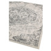 Sivo-krémový koberec 120x170 cm Nova – Asiatic Carpets