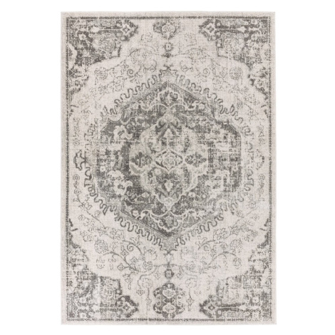 Sivo-krémový koberec 200x290 cm Nova – Asiatic Carpets