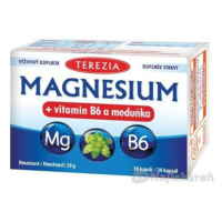 TEREZIA MAGNESIUM + vitamin B6 a meduňka (medovka) 30 ks