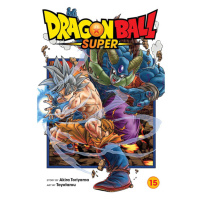 Viz Media Dragon Ball Super 15