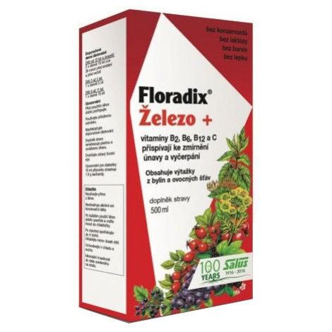 SALUS Floradix Železo - tekutá forma 500 ml