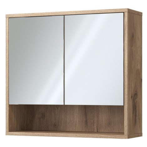 Vicco KÚPEĽŇOVÉ ÚLOŽNÉ PRIESTORY Eliza Dub Viking 70 x 65 cm s 2 dverami