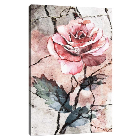 Nástenný obraz na plátne Tablo Center Rose, 40 × 60 cm