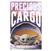 ME Plagát Star Wars: The Mandalorian - Precious Cargo 041