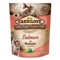 Kapsička Carnilove Dog Puppy losos s čučoriedkami, paté 300g