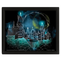 Pyramid International 3D obraz Harry Potter Rokfort