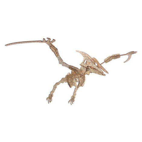 Woodcraft Drevené 3D puzzle Pterosaur