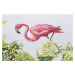 Kusový koberec Flair 105616 Tropical Birds Multicolored – na ven i na doma - 240x340 cm Hanse Ho