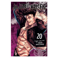 Viz Media Jujutsu Kaisen 20