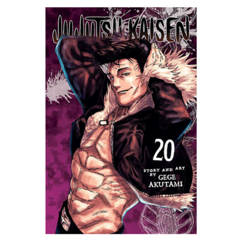 Viz Media Jujutsu Kaisen 20