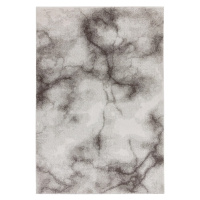 Sivý koberec 120x170 cm Dream – Asiatic Carpets