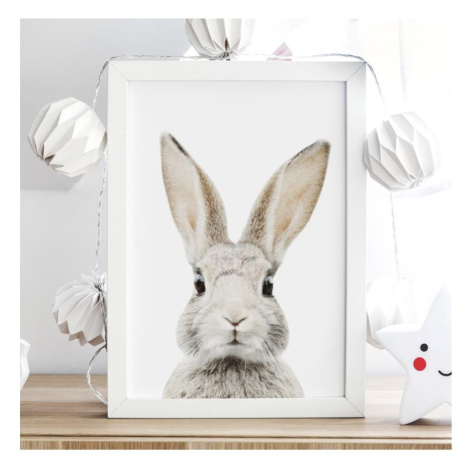 Biely plagát s motívom králika