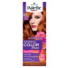 Palette Intensive Color Creme farba na vlasy 7-77