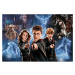 Puzzle 160 XL Super Shape - Kúzelný svet Harryho Pottera / Warner Harry Potter and the Hal
