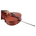 Eastman Andreas Eastman Master Cello 4/4 (VC605)