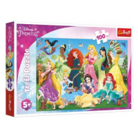 Puzzle Pôvabné princeznej / Disney 100 dielikov 41x27,5cm v krabici 29x19x4cm