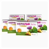 3-mesačná HEPAFAR forte kúra | Pre kompletnú detoxikáciu pečene a vylúčenie toxínov | 6 x 30 kap
