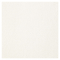 Dlažba Porcelaingres Just Grey super white 30x60 cm mat X630120