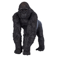Mojo Gorila striebrochrbtová samec