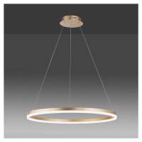 LED závesné svietidlo Titus okrúhle Ø80cm mosadzná